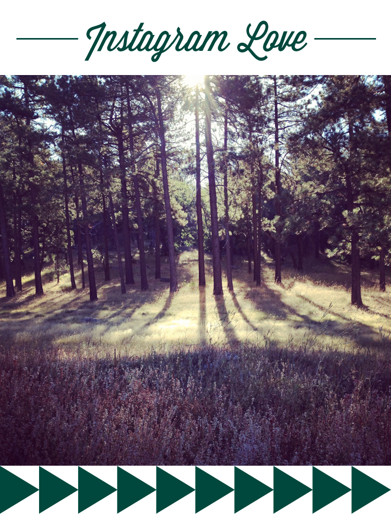 instagramlove